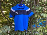 Puma Funktionsshirt Poloshirt T-Shirt Sport Kiel - Hasseldieksdamm Vorschau