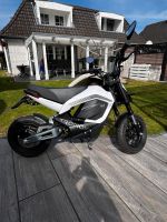 TROMOX Mino Elektro Moped Ideal für Camper Parchim - Landkreis - Banzkow Vorschau
