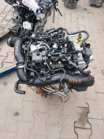 3.tkm MOTOR B7JB FORD PUMA B7JA Nordrhein-Westfalen - Schloß Holte-Stukenbrock Vorschau