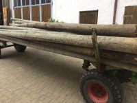 Holz, Pfosten, Holzmasten, Pfähle, Zaunpfosten  2 - 6 meter lang Bayern - Schweitenkirchen Vorschau