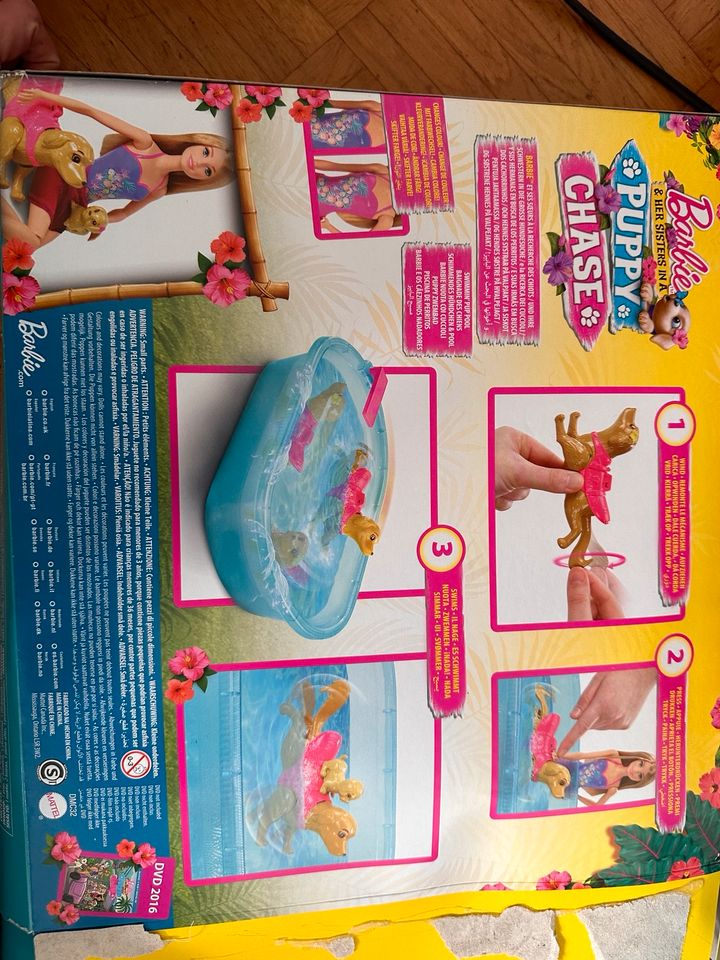 Barbie Pool Hund Welpe Schwimmen in Dinslaken