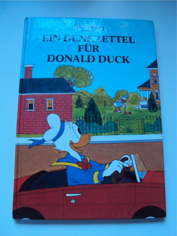 Walt Disney Bücher Adlerauge, Bambi, Bernhard&Bianca, Donald Duck in Buesum