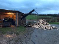 Brennholzaufbereitung, Lohnspalten, Sägespaltautomat Niedersachsen - Freden Vorschau