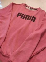 Pullover Puma Niedersachsen - Oldenburg Vorschau