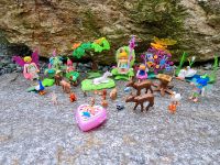 Playmobil Feenset Sachsen - Ehrenfriedersdorf Vorschau