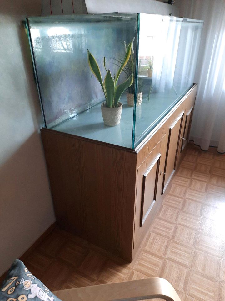 Aquarium mit Unterbau und Beleuchtung. in Solms