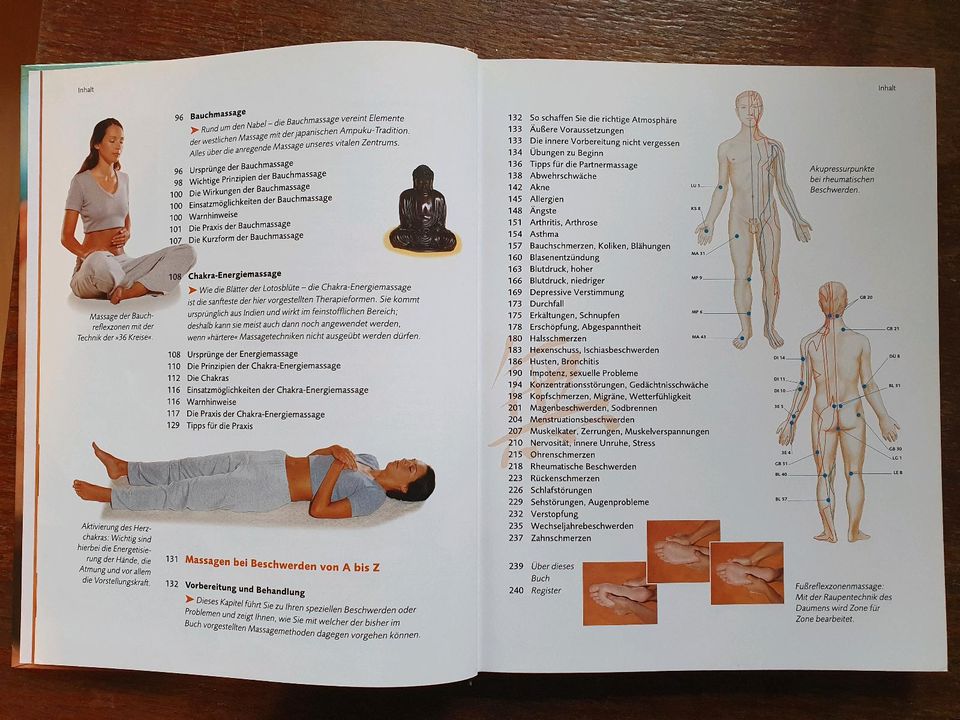 Das große Buch der Massagetechniken von David Chang in Leipzig