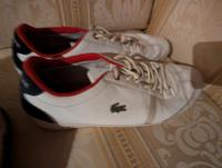 Lacoste Ledersneaker Niedersachsen - Wolfsburg Vorschau