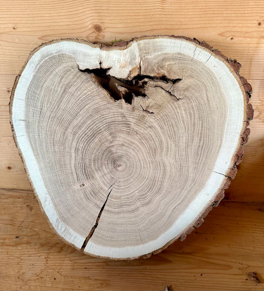 Eichenholz Baumscheiben Holzscheiben Herz Eichen Scheiben 48cm Dm in Ehingen Mittelfr