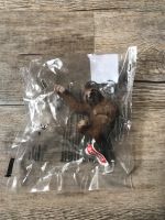 Schleich Faultier 14793 NEU Hessen - Erbach Vorschau