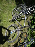 Fahrrad 28 Zoll Nordrhein-Westfalen - Oberhausen Vorschau