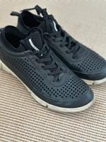 Ecco Herrenschuhe 40 Niedersachsen - Norden Vorschau