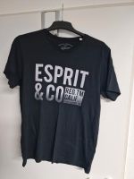 Esprit T-Shirt Größe L  Herren  Original Schwarz Bayern - Lindau Vorschau