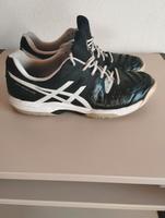 Schuhe Asics Gel dedicate groß 47 Rheinland-Pfalz - Dittelsheim-Heßloch Vorschau