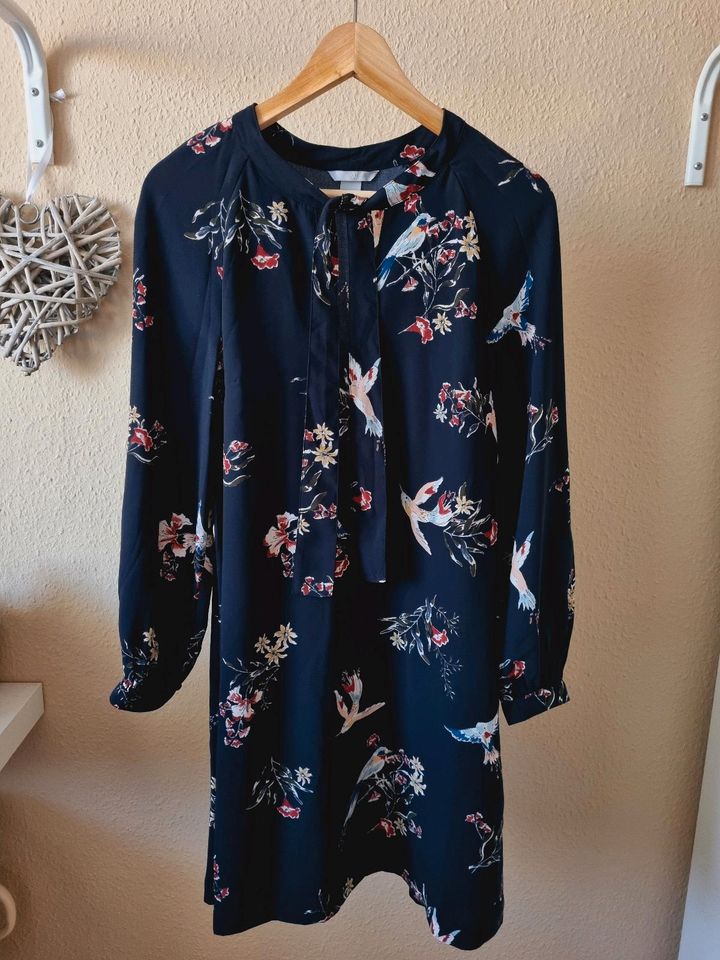 H&M langarm Kleid Schleife Bänder Kolibri Vögel Herbst Winter in Dresden