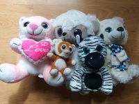 Glubschi Kuscheltier Sammeln Zebra, Husky, Löwe, Tiger Niedersachsen - Belm Vorschau