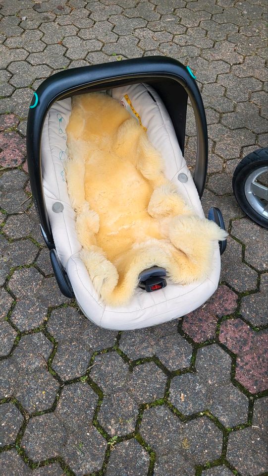 Maxi cosi Pebble Autositze Babyschale in Bruchmühlbach-Miesau