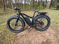 E-Bike Power Fatbike für Jäger Angler Forstarbeiter etc. Brandenburg - Cottbus Vorschau