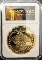 American Eagle / Liberty Gold Nachbildung 40mm Schleswig-Holstein - Sterley Vorschau