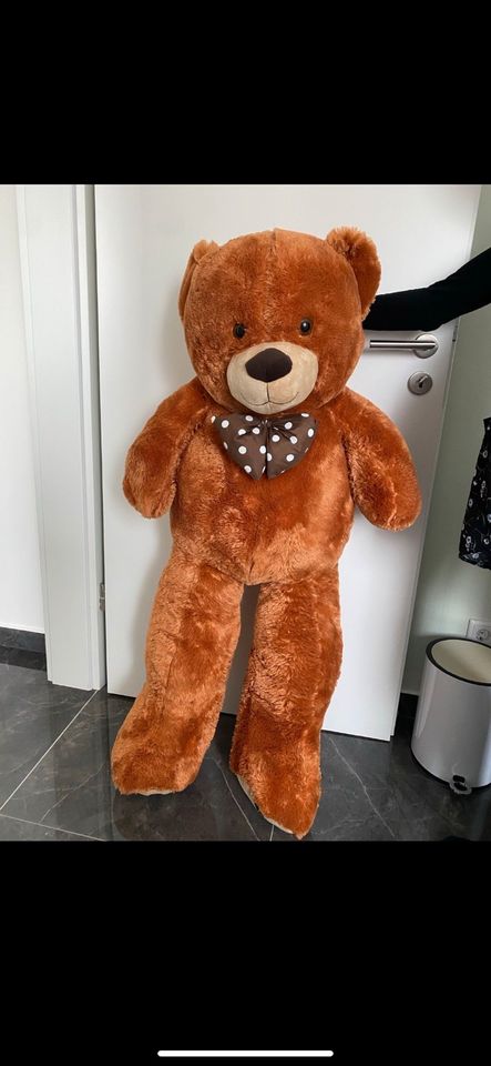 Kuscheltier Plüschtier XXL Bär Teddy Geschenk  Neu in Delmenhorst