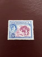 Dominica Inselstaat Zitronen Ernte König  Karibik /76 Niedersachsen - Holtgast Vorschau