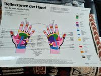 Haug Poster Lerntafel Reflexzonen der Hand laminiert 40x32 cm Berlin - Wilmersdorf Vorschau