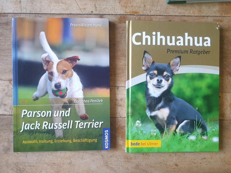 Rasseporträt Hundebuch Parson und Jack Russell Terrier in Rosendahl