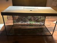 Aquarium 60 Liter Nordrhein-Westfalen - Meinerzhagen Vorschau