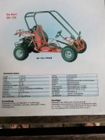 2 GoKarts / Adly Her Chee 125 / Rennkart / GoKart / Go-Kart Berlin - Hellersdorf Vorschau