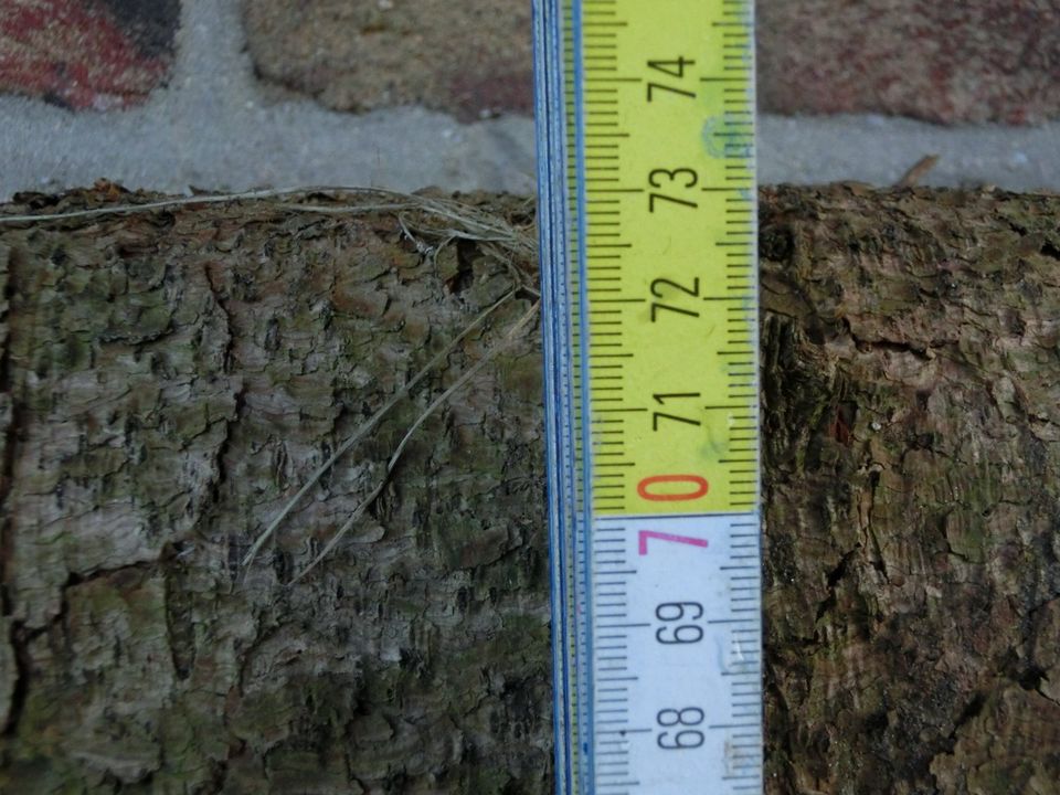 Stoßzahn aus Holz " Elfenbein " Unikat in Heidgraben