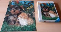 Ravensburger Puzzle 500 Teile Terri und Jerri Hund und Katze Thüringen - Jena Vorschau