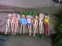 Barbie Clone,Puppen, Konvolut Hessen - Hungen Vorschau