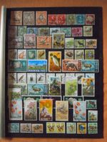( 309 ) Briefmarken aus Ostafrika Kenia Niedersachsen - Algermissen Vorschau