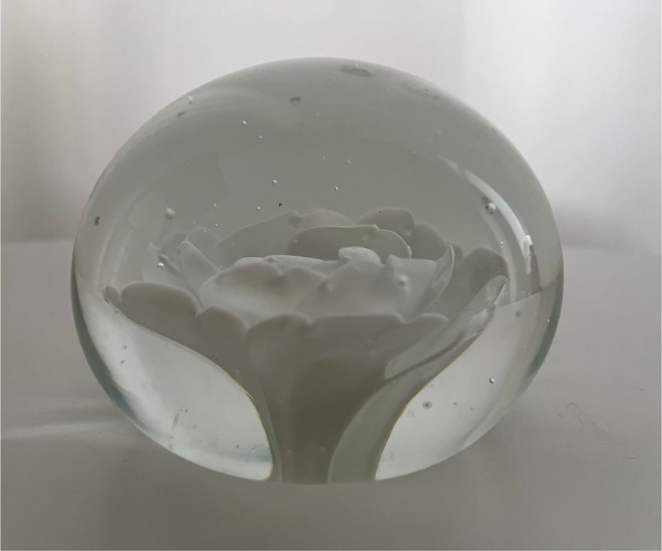 Briefbeschwerer Paperweight Glas Blume Rose weiß 8 cm in Hannover