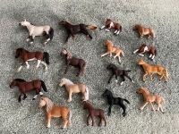 Schleich Pferde Horse Club (pro Pferd) Nordrhein-Westfalen - Schwerte Vorschau