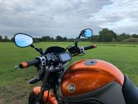 Yamaha BT1100 Bulldog Schleswig-Holstein - Tangstedt  Vorschau