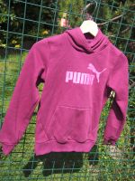 Puma Pullover lila 140 9-10 Jahre wie neu Baden-Württemberg - Limbach Vorschau