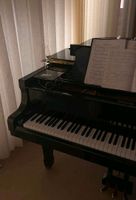 Klavierunterricht für Anfänger (privat) Rheinland-Pfalz - Oberhaid (Westerwald) Vorschau