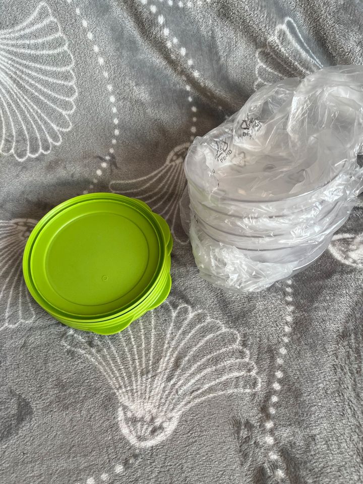 Tupperware Tafelperlen hellgrün 275ml (5 Stück) in Göttingen