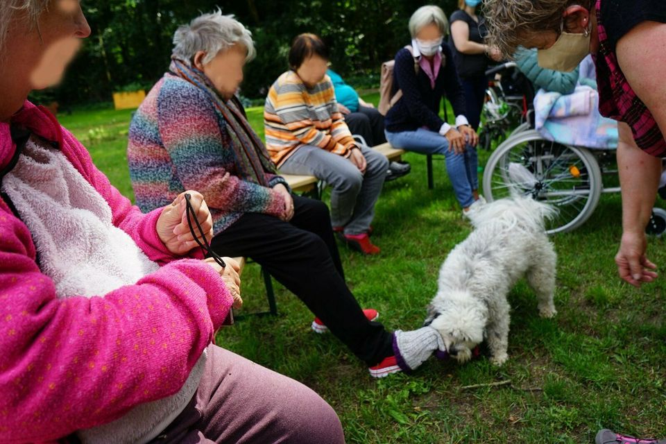 Die Hunde-Show für Kindergeburtstage, Seniorenheime uva Events in Dortmund