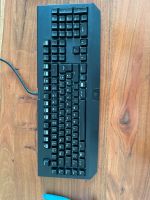 Razer Blackwidow Chroma Wuppertal - Vohwinkel Vorschau