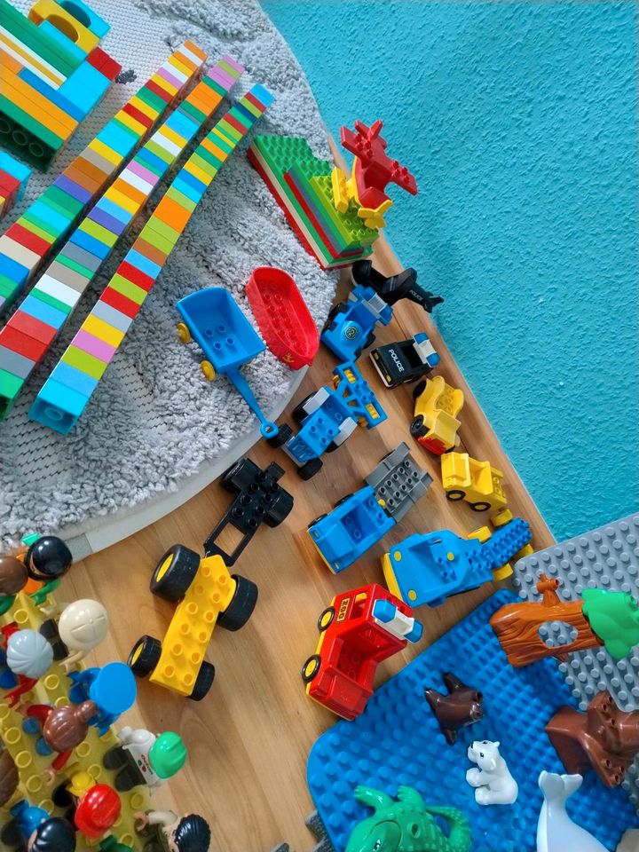 Lego Duplo Konvolut in Leipzig