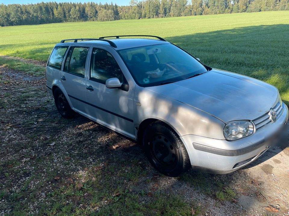 Golf 4 1.4 16V Schlachter in Biberach an der Riß