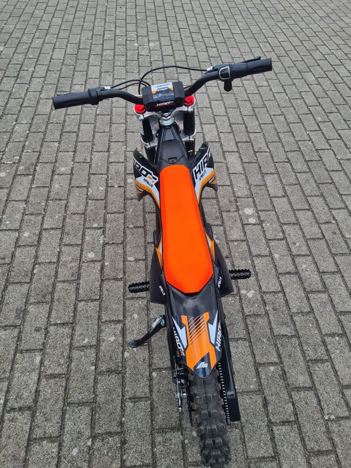 Apollo Rocket Kinder Dirtbike Elektro 1000 Watt NEU in Bad Liebenwerda