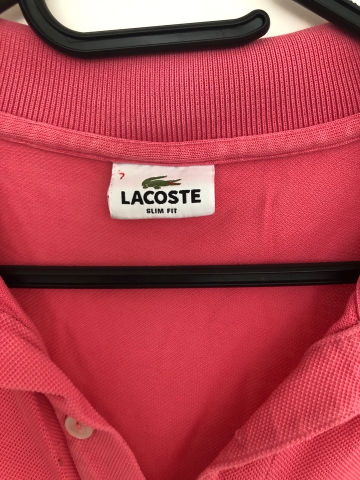 Lacoste Shirt 7 in Hamburg