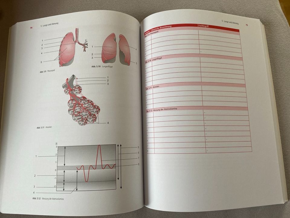 Anatomie zum Lernen durch Beschriften (wie neu) in Karlsruhe