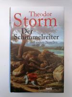 Der Schimmelreiter von Theodor Storm Schleswig-Holstein - Stoltebüll Vorschau