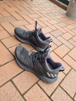 Adidas Herrenschuhe Gr.10 (44 2/3) super Zustand Nordrhein-Westfalen - Dülmen Vorschau