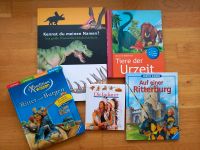 Kinderbücher Paket Dinosaurier Ritter Mitte - Tiergarten Vorschau