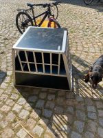 Hundezwinger Sachsen - Remse Vorschau